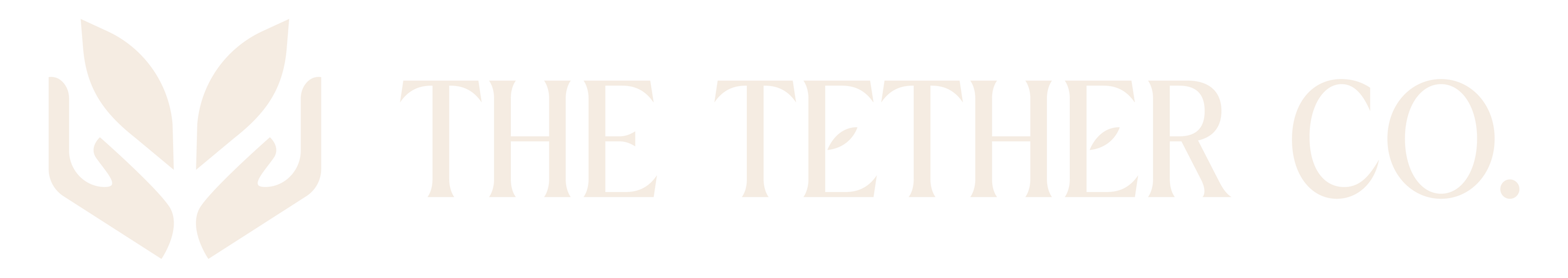 The Tether Co